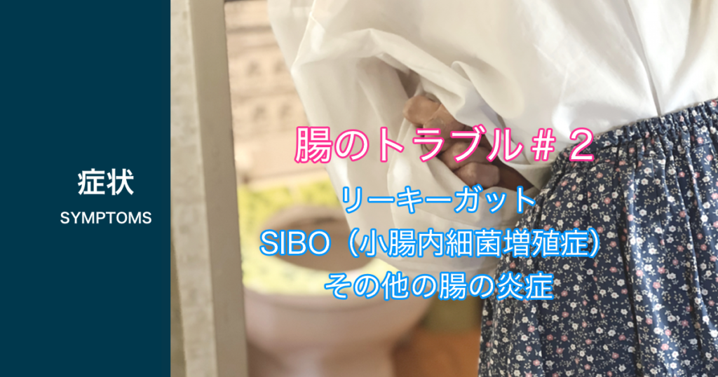 腸のトラブル＃2、リーキーガット、SIBO、腸の炎症