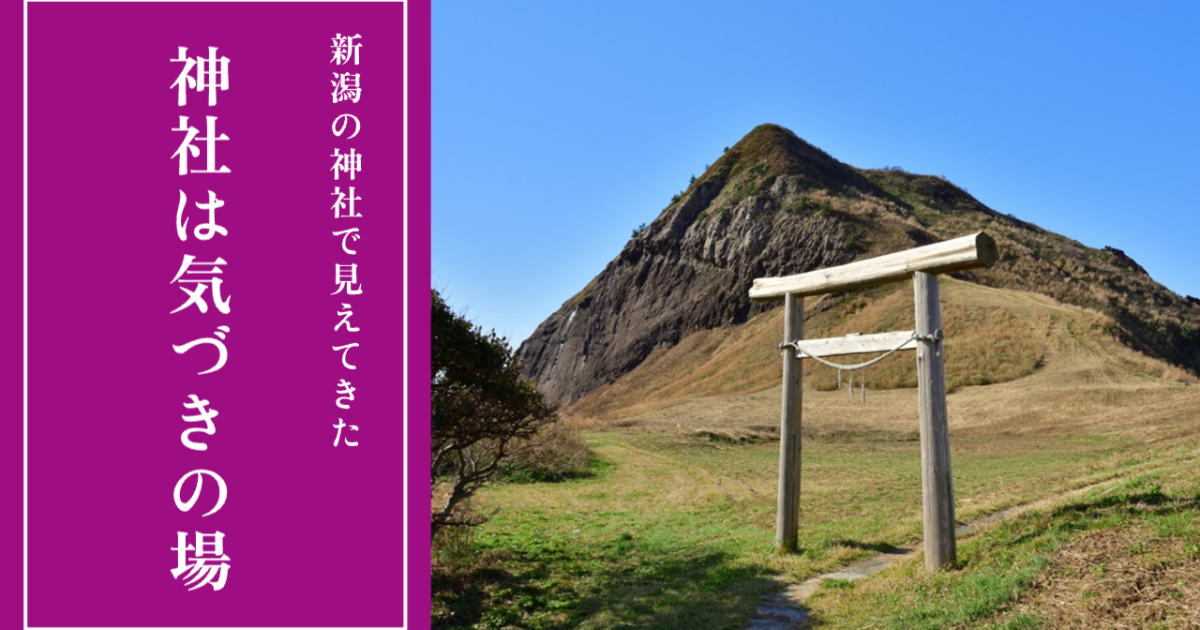 新潟の神社で見えてきた神社は、気づきの場
